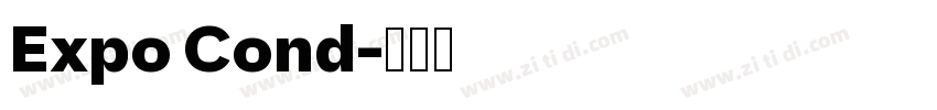 Expo Cond字体转换